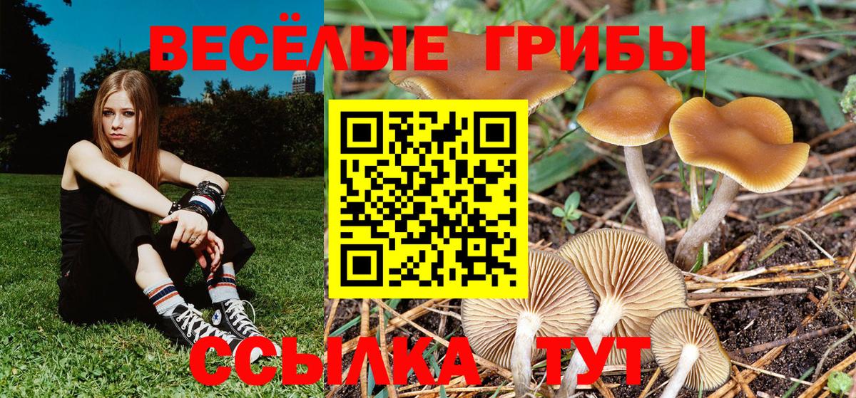 Мытищи  Псилоцибиновые грибы мухоморы  Вход с VPN 